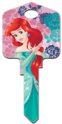 Front of Ariel & Friends Key