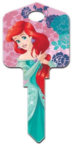 Front of Ariel & Friends Key