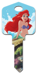 Front of Ariel & Friends Key
