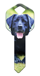 HK59 - Labrador Retriever  | Labrador Retriever  happy, key, labrador, lab, retriever, dog, puppy, keys, kw, sc1, wr5