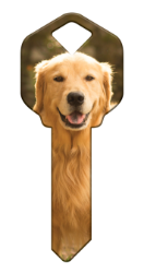 HK61 - Golden Retriever  | Golden Retriever  happy, key, golden, retriever, dog, puppy, keys, kw, sc1, wr5