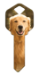 HK61 - Golden Retriever  | Golden Retriever  - HK61