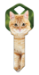 HK66 - Orange Tabby  | Orange Tabby  - HK66