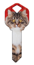 HK67 - Maine Coon  | Maine Coon  happy, key, house, maine, coon, cat, kitten, paws, keys, kw, sc1, wr5