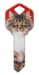 HK67 - Maine Coon  | Maine Coon  - HK67