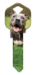 HK85 - Pit Bull  | Pit Bull  - HK85