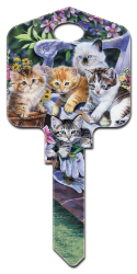 AC1 - Kittens  | Kittens  Artisan Collection,kittens,house key blanks,cats,keys,cute,pets,animals
