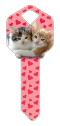 HK29 - Kittens  | Kittens  happy, key, kittens, kitten, cat, cats, feline, felines, cute, pet, pets, house, keys, kw, sc1, wr5