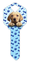 HK30 - Puppy  | Puppy  happy, key, puppy, puppies, dog, dogs, cute, pet, pets, house, keys, kw, sc1, wr5