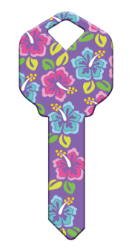 HK47 - Hibiscus Flowers  | Hibiscus Flowers  happy, key, hibiscus, tropical, hawaii, hawaiian, flower, flowers, summer, floral, colorful, house, keys, kw, sc1, wr5