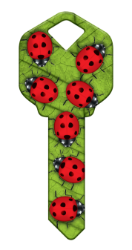 HK51 - Ladybugs  | Ladybugs  happy, key, ladybug, ladybugs, lady, bug, bugs, leaf, summer, house, keys, kw, sc1, wr5