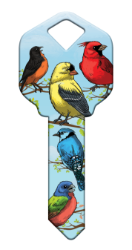 HK54 - Birds  | Birds  happy, key, bird, birds, cardinal, oriole, yellow, finch, blue, jay, summer, house, keys, kw, sc1, wr5