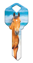 HK55 - Horse  | Horse  happy, key, horse, horses, beach, sand, ocean, waves, summer, house, keys, kw, sc1, wr5